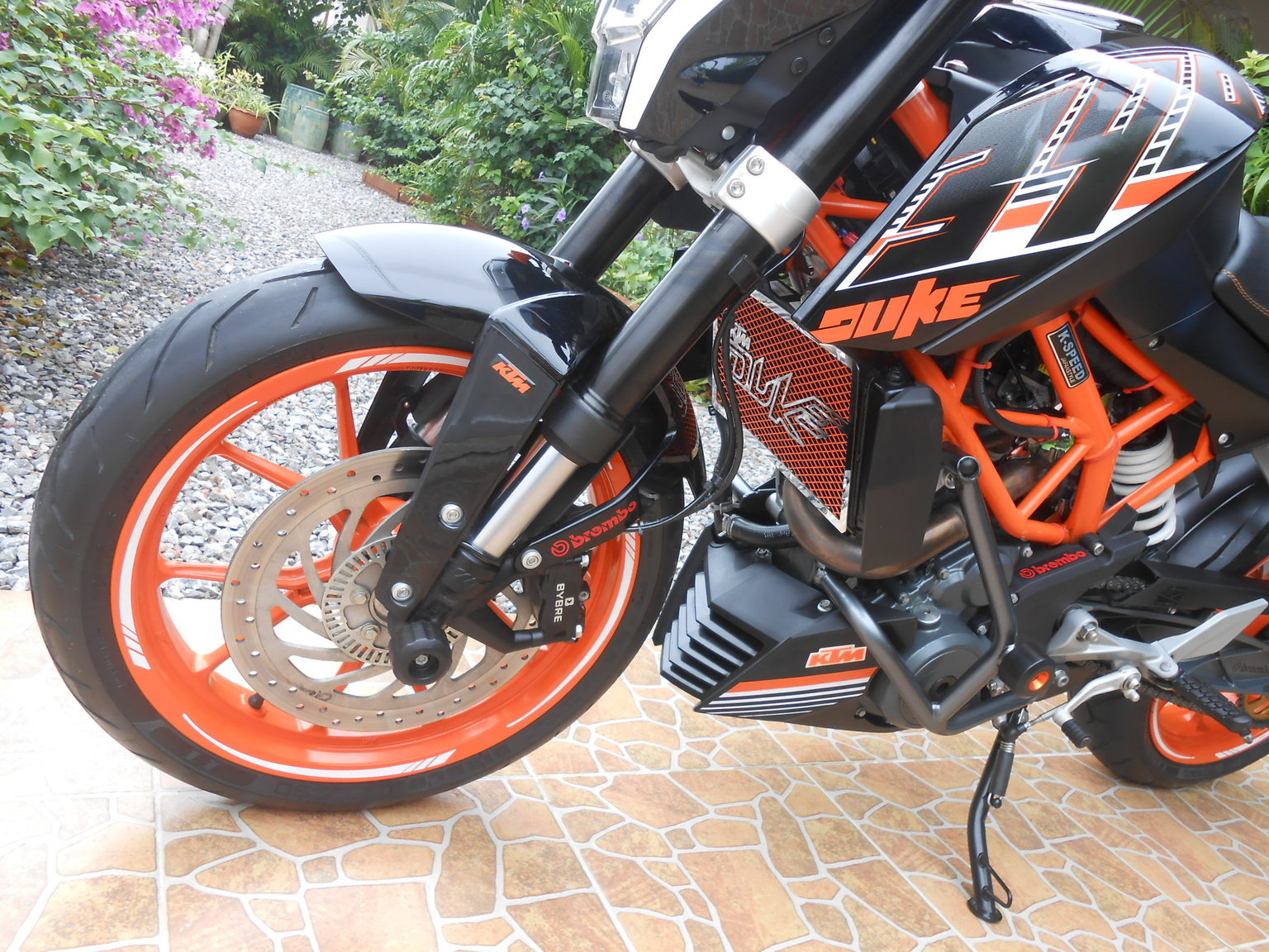 Duke 28 oct 2016 007.JPG