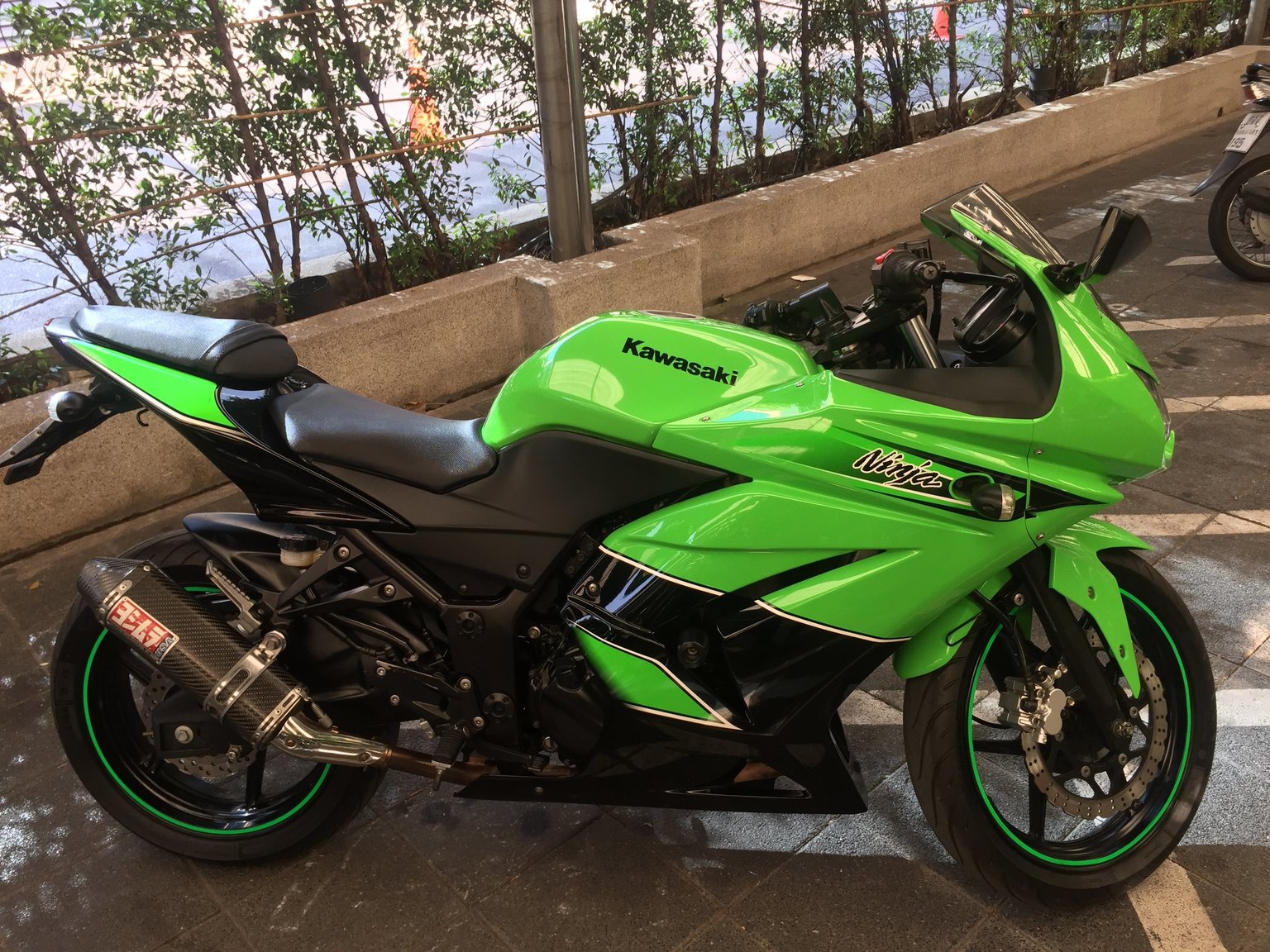 My Ninja - 04.JPG