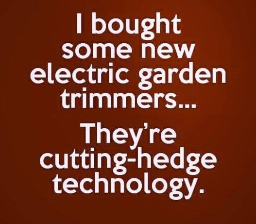 CuttingHedgeTech.jpg.4506a94ed8bb9aa59029b407d85f7c25.jpg