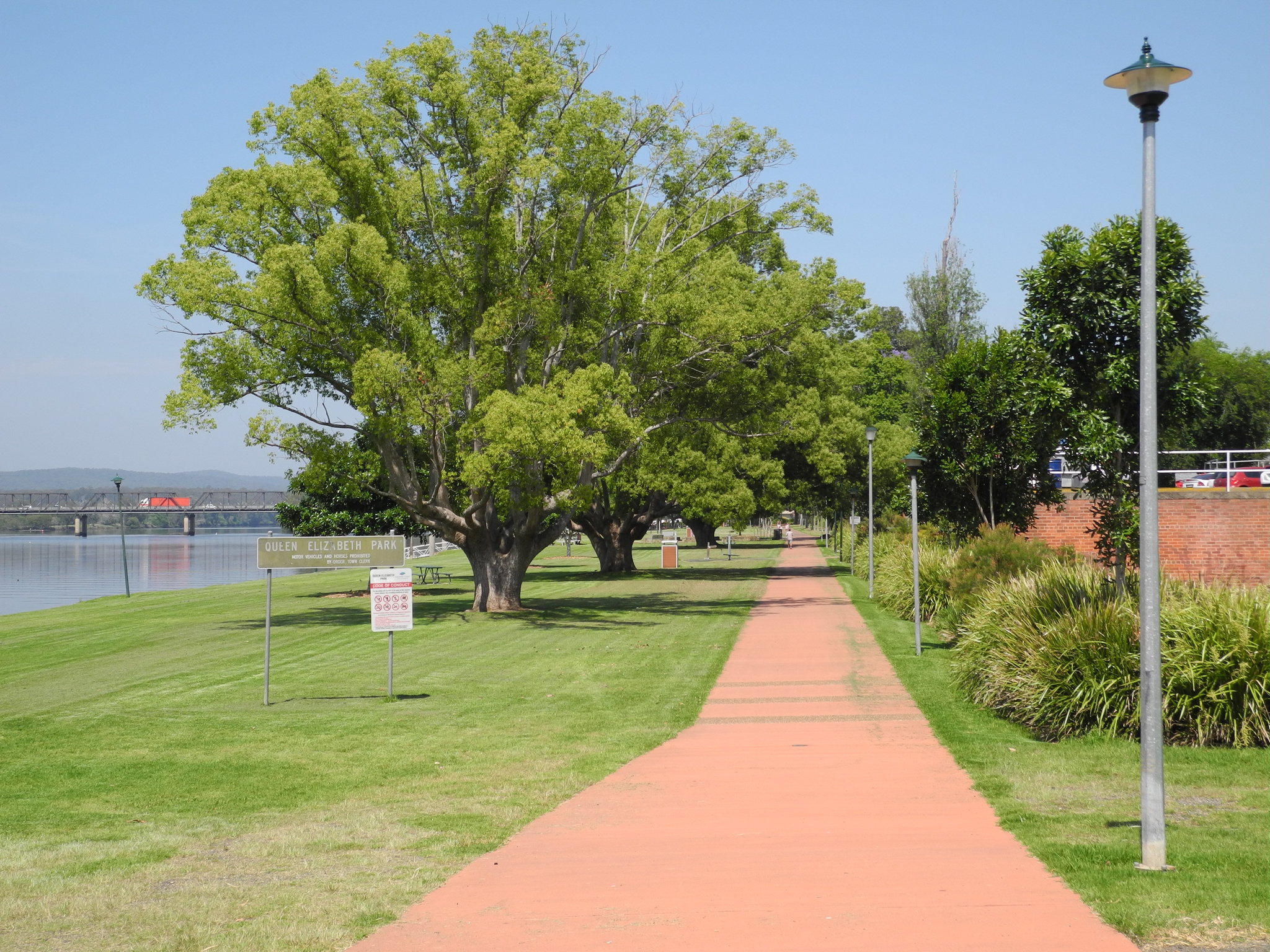 DSCN0789.JPG