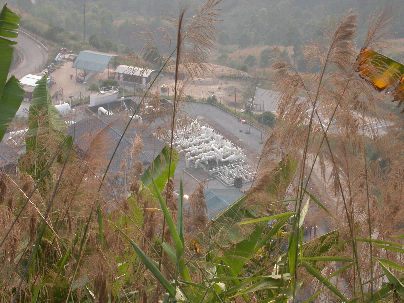 DSCN2672.thumb.JPG.f2b71c4f64b41667361a3c89f239a3eb.JPG