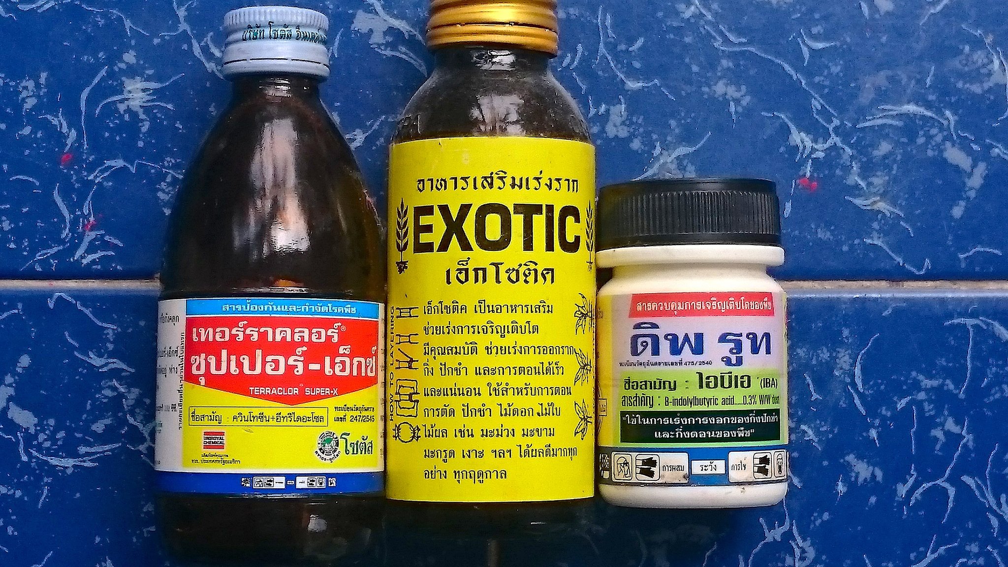 DSC_0012_1.JPG