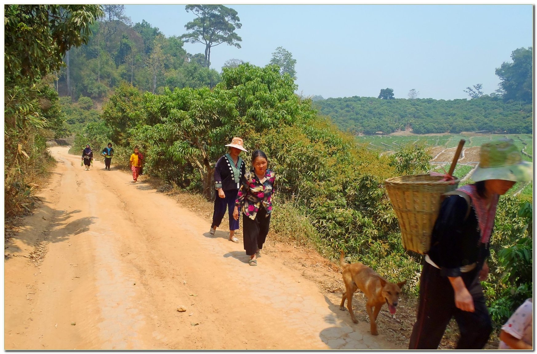 P3182234_Chiang_Mai_going_to_Huay_Tung_Tao_lake.thumb.jpg.c26d9107690db36b7884632e29d2c17f.jpg