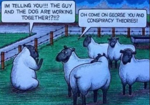 SheepConspiracy.jpg.a0ad78ef640c9537a5b61ae0c475a923.jpg
