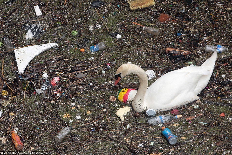 Thames.jpg