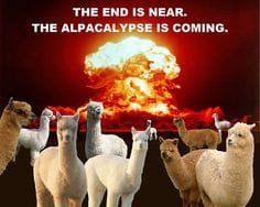 alpacalyps.jpg.420068b9ff43c7dfc0a0bb4cb65ab9a8.jpg