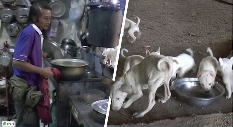 dogs.JPG