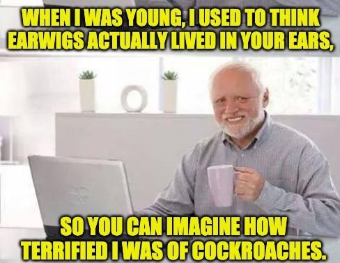 earwig.jpg.56279cd945017bf87008669056104a15.jpg
