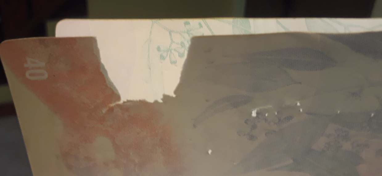 image.png.4fdee34757c2ec75d2a98aa4ad4777be.png