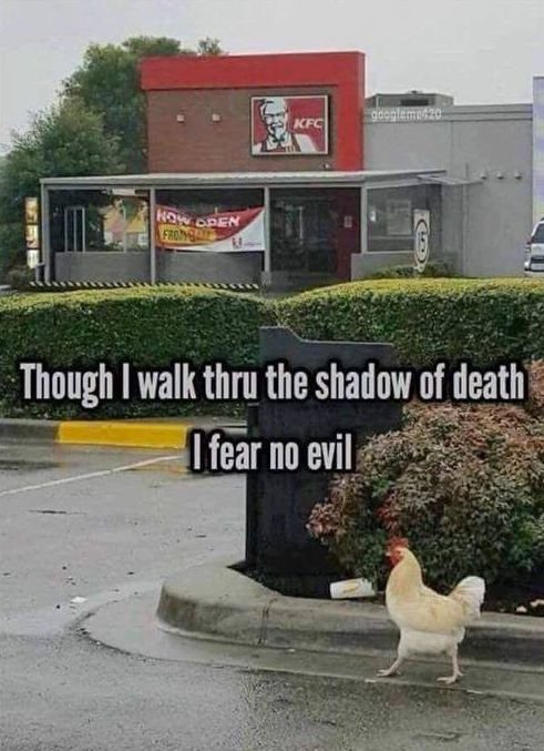 kfc.jpg.41bc14145c9f0b00517dfa86d562afe5.jpg