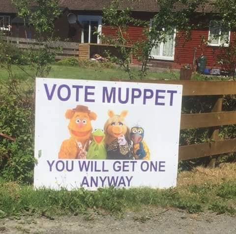 muppet.jpg.3ee6b7de04ca378bb5e10d1e177cd5c5.jpg