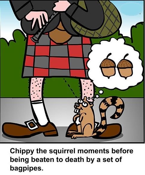 nuts.jpg.2d0326e23c76597d04926fd394e00945.jpg