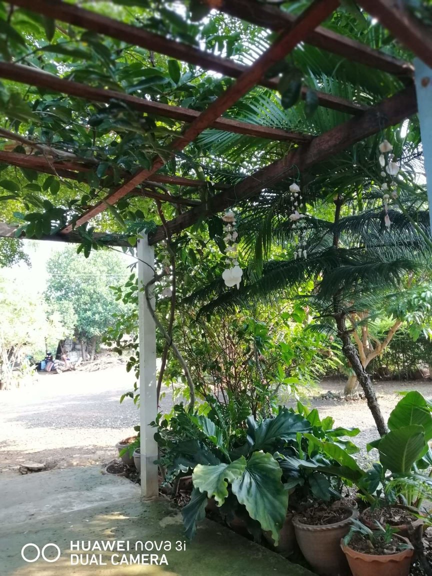 received_1261478050857231.jpeg