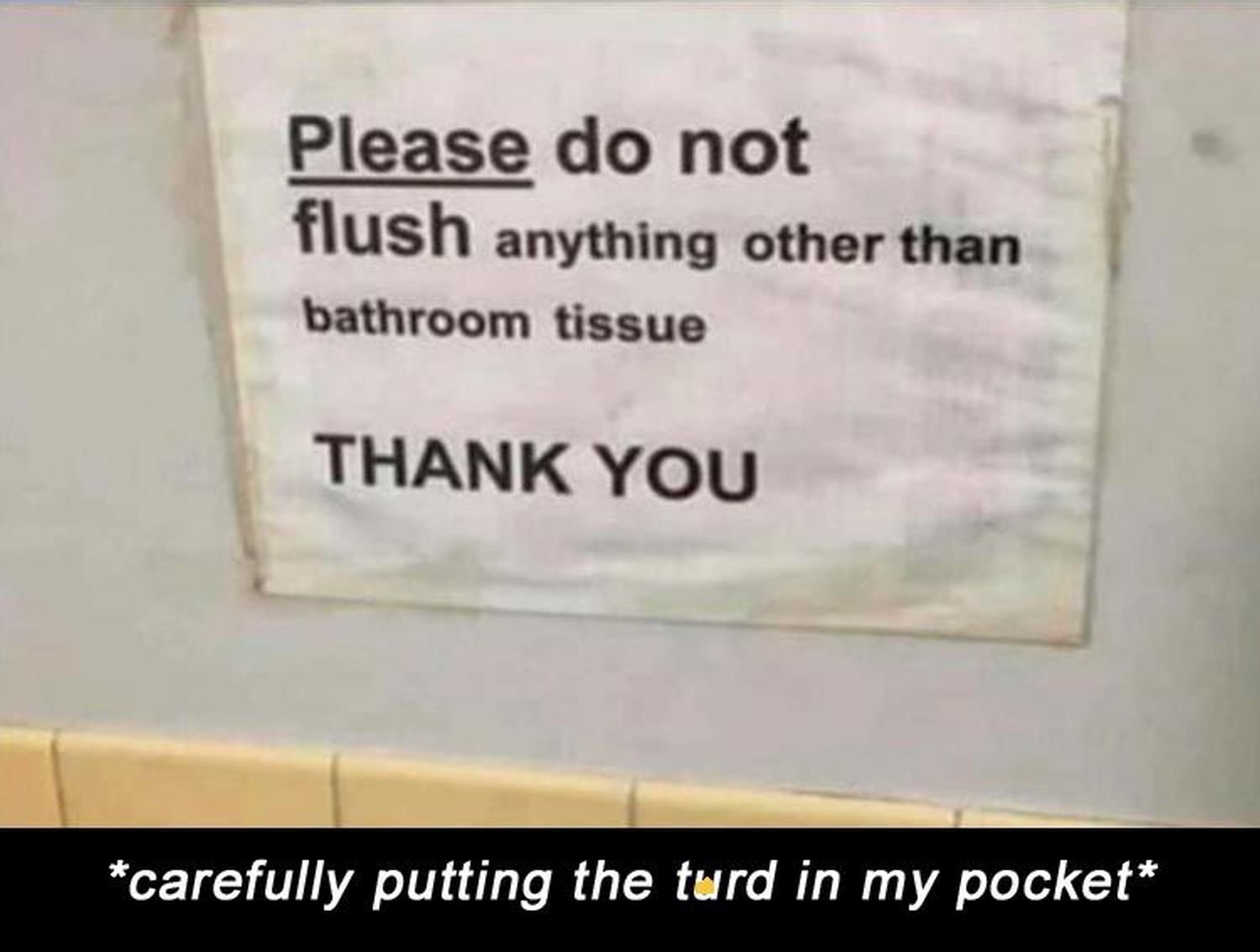 turd.jpg.fe7af8e297d9674d561d740a1f327576.jpg
