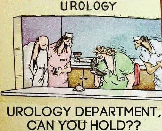 urology.jpg.dee528306d5caf692a009a971cde8a25.jpg