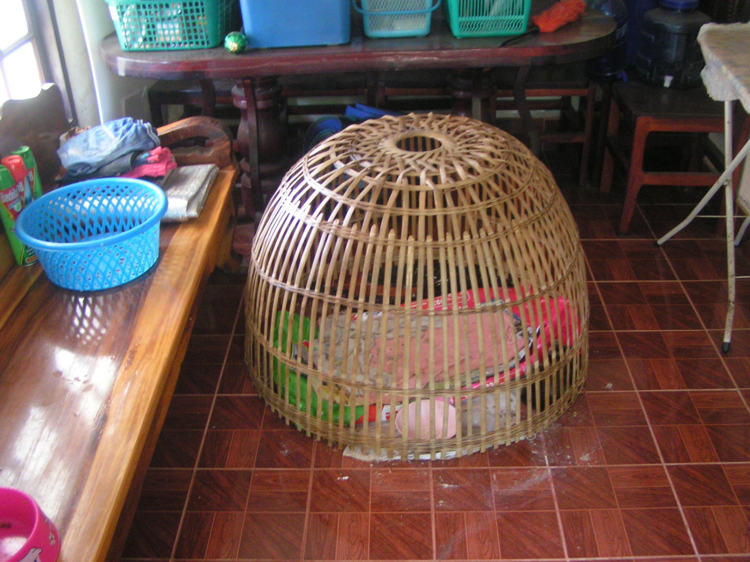 1067854464_duckcage.thumb.JPG.a1e580f6599963c4835340dc3b29f25d.JPG