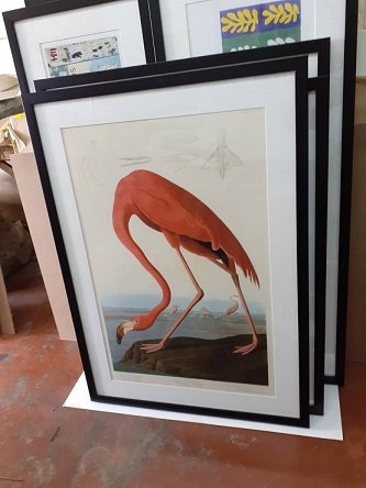 1154359055_birdposters.jpg.7a411a947b2554a4f0f04c269bd46c39.jpg