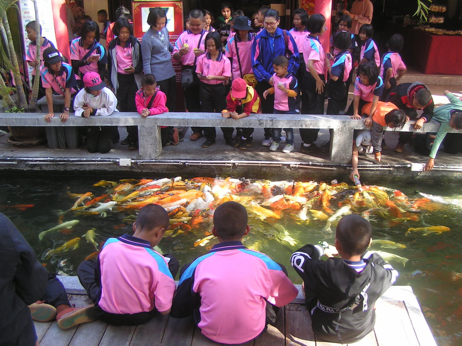 1501852658_feedfishschool(2).thumb.JPG.4619812bfa9fe40b152ff6ed79f23c32.JPG