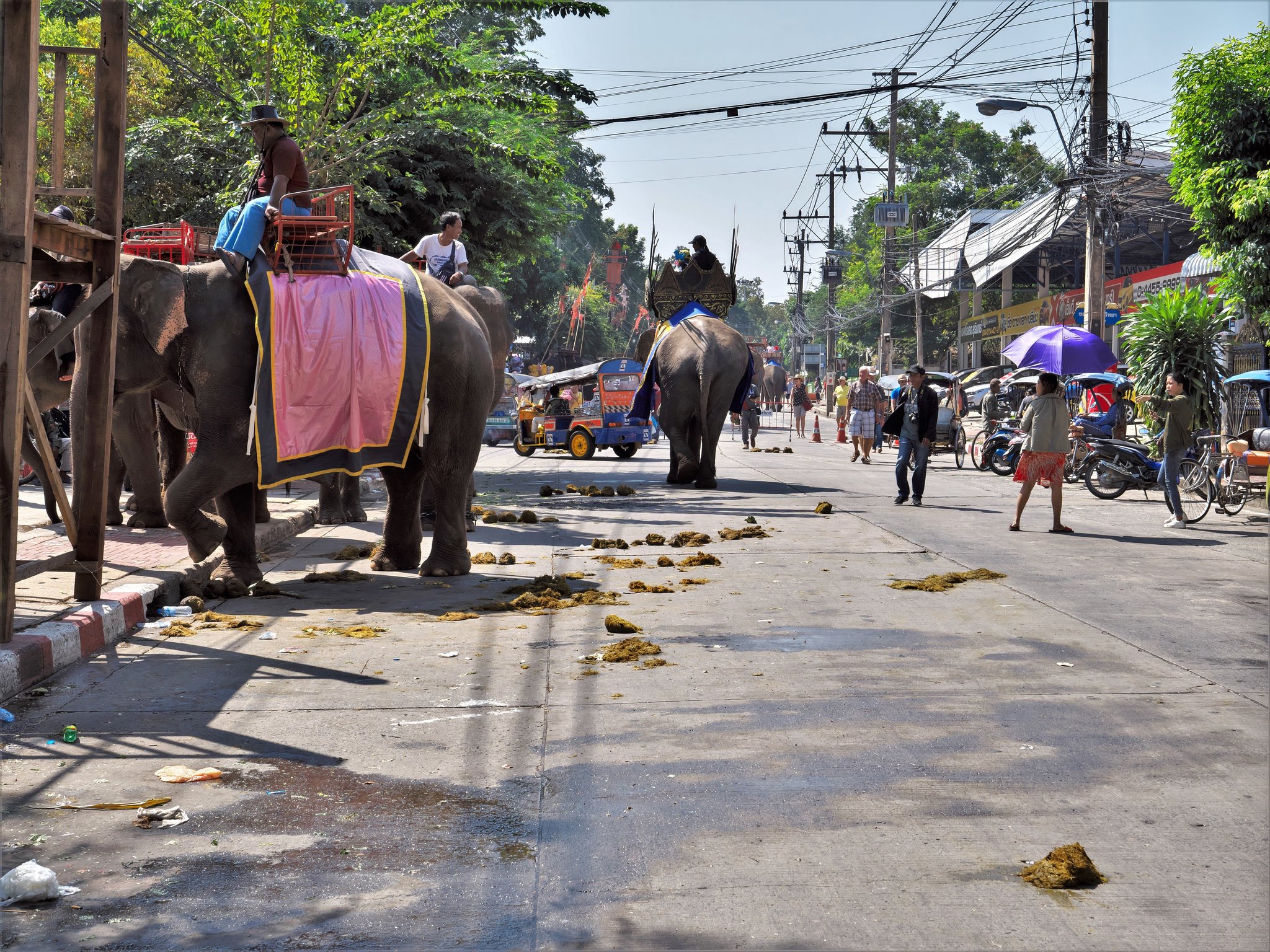 Surin2019 (270).jpg