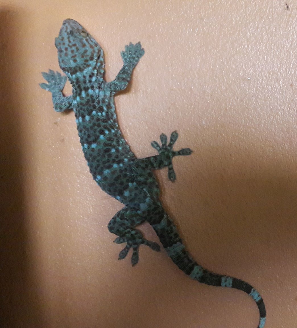 20161001_062903.jpg
