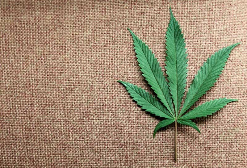 2019-12-26T211305Z_1_LYNXMPEFBP11D_RTROPTP_4_LOVE-HEMP-M-A-WORLD-HIGH-LIFE.JPG