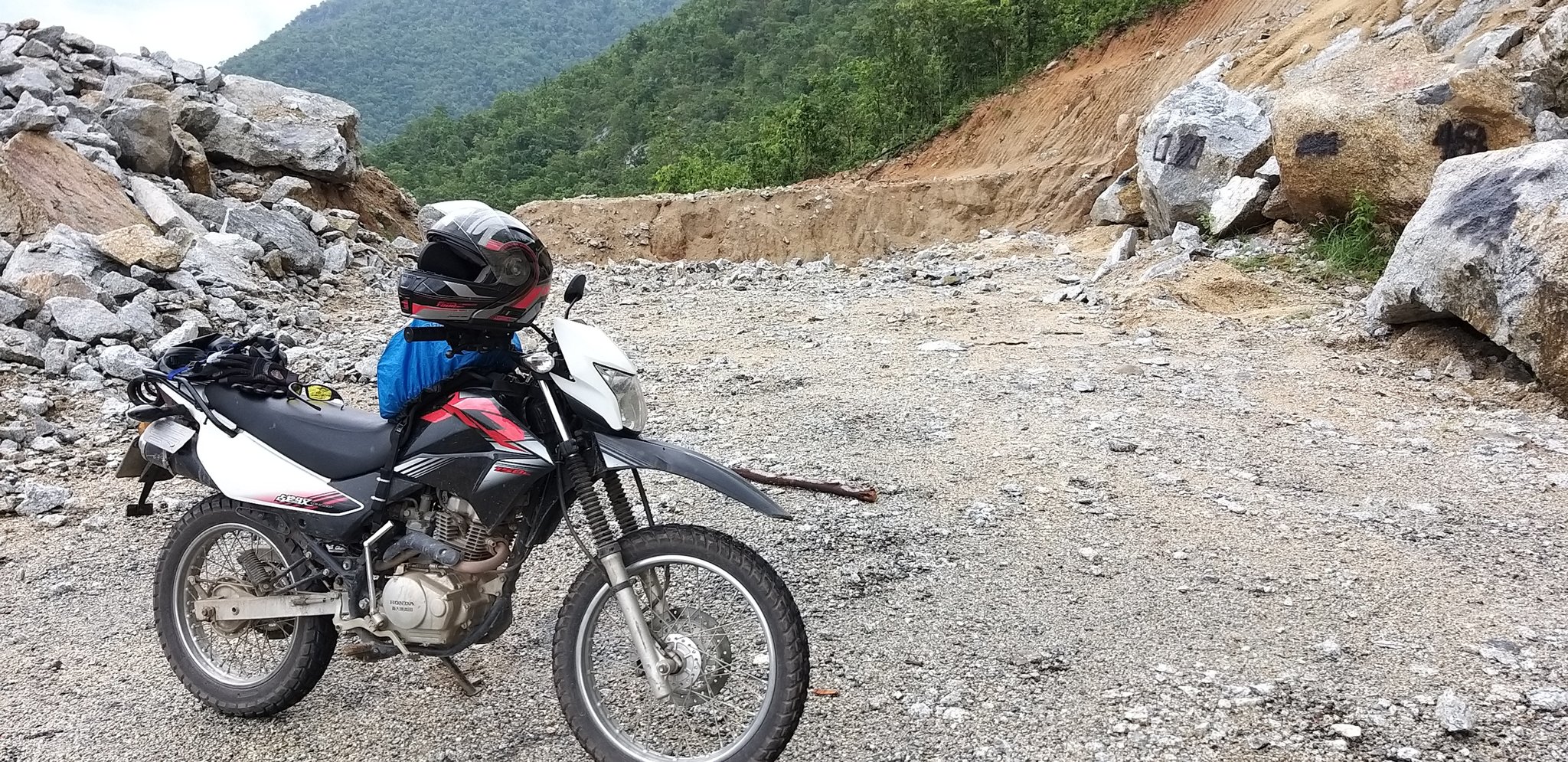 20190914_132355.jpg