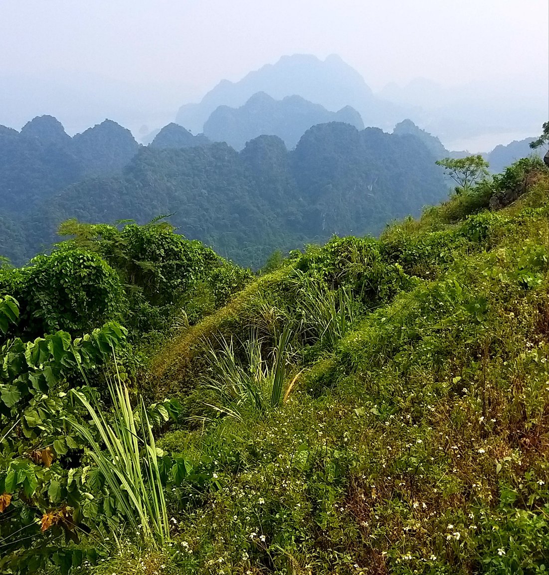 20191002_143132.jpg