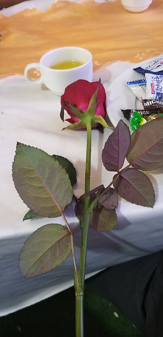 20191005_210937.jpg