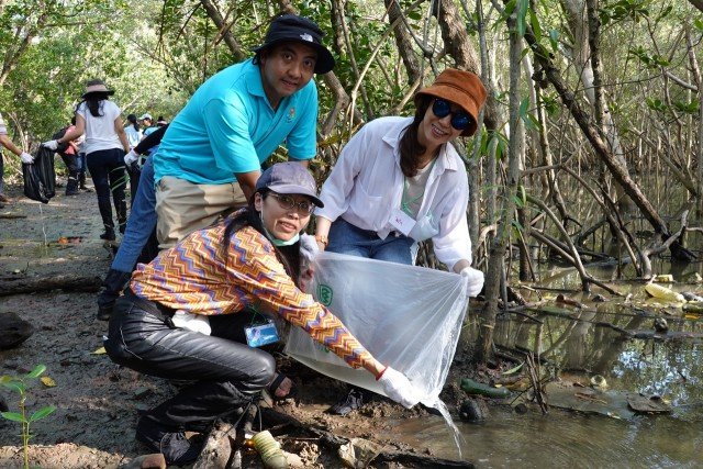 CPF@mangrove 2.jpg