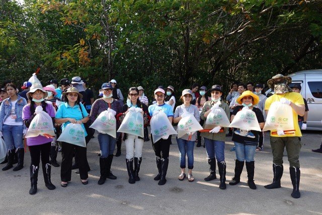 CPF@mangrove 3.jpg