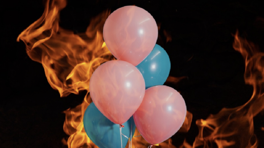 800_8d5717775de354e.png