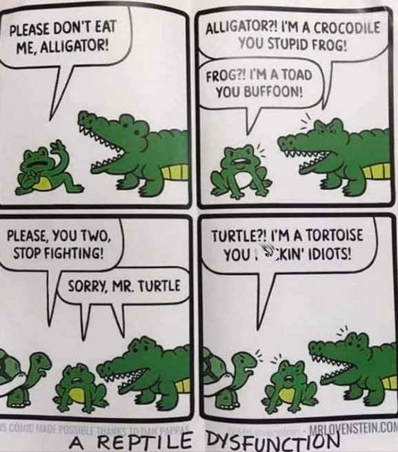 AReptileDisfunction.jpg.5716f8d0bc2b4bec5f0011e64c2cef88.jpg