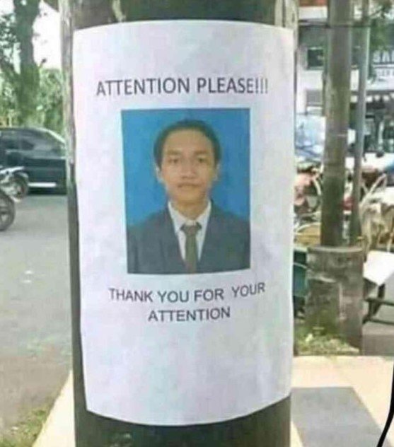 AttnPlease.jpg.54271be937943c1cb0cdcb8ad0ce481d.jpg