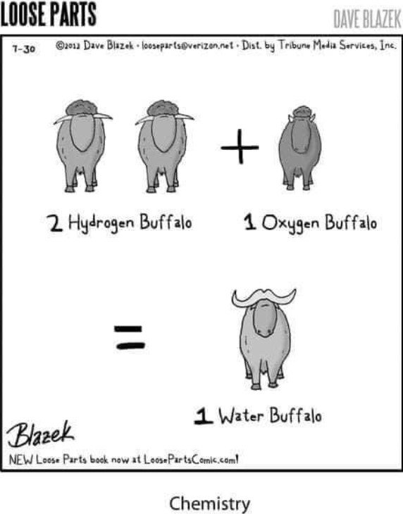 BuffaloChemistry.jpg.564a4b8562638e0dd2daee2b6e5d870e.jpg