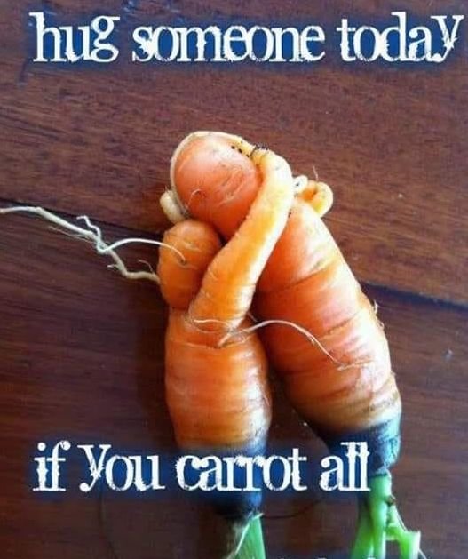 CARROT.jpg.15aa0fd73527e09c0da0c40a322129ea.jpg