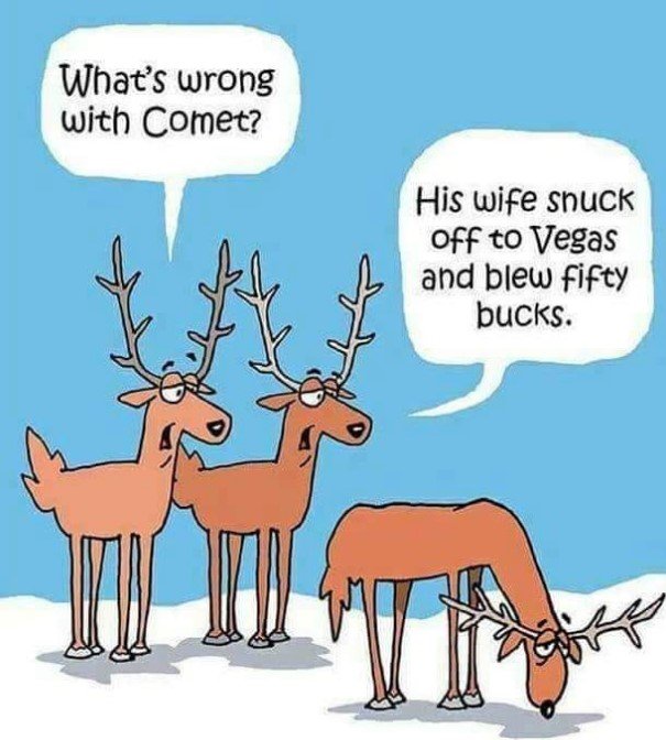 CometsWifeXmasDeer.jpg.6045bfedf52ad0208fac82f92a969370.jpg