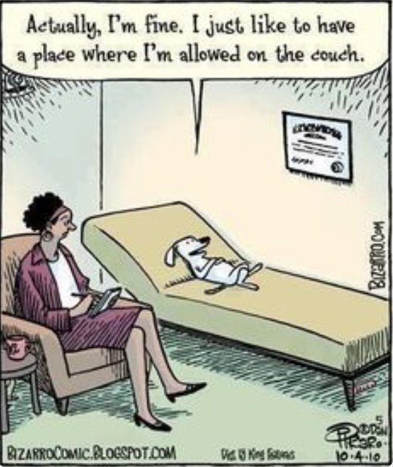 CouchIsFine.jpg.5c318019c9aae254d0d8e4c5ffe8d5df.jpg