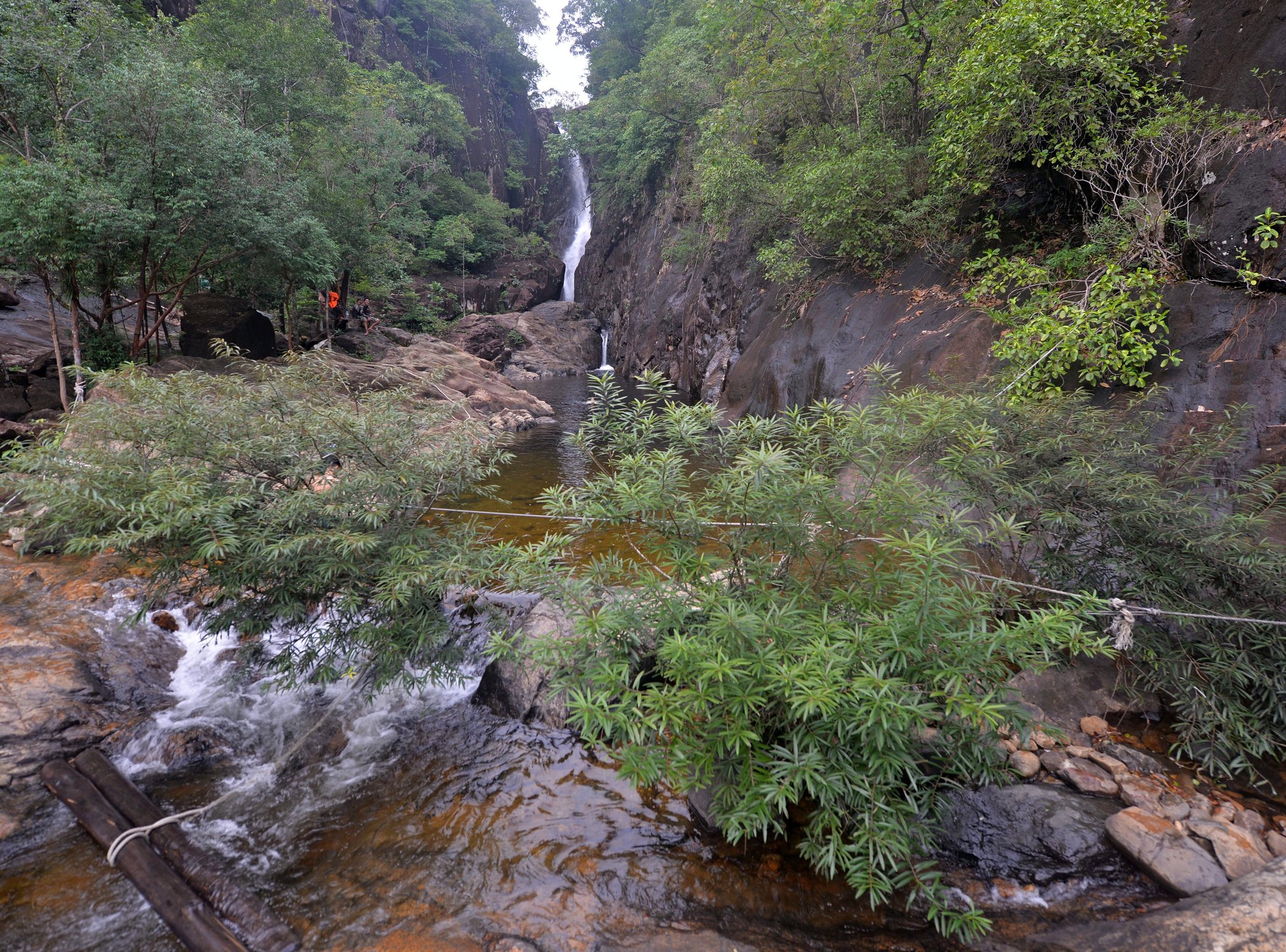 DSC_8735.thumb.jpg.f357f1e1fc89e8ff36e9bef9d6bb7423.jpg