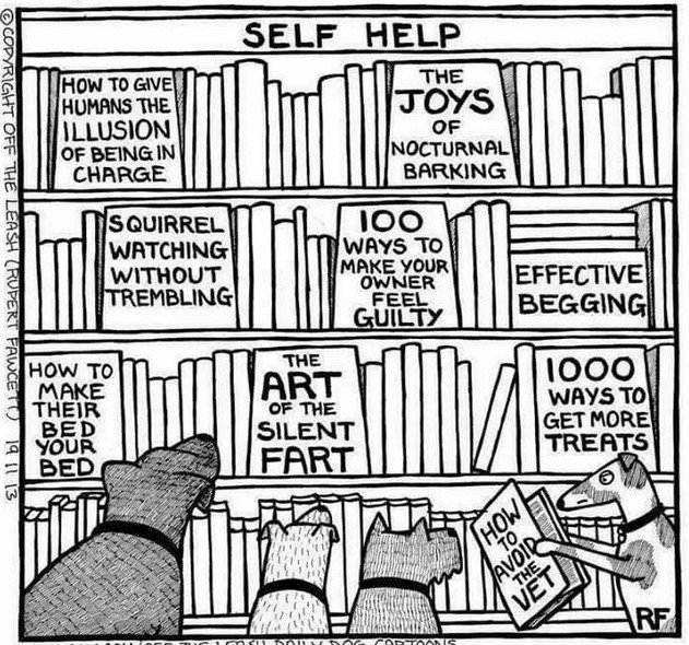Dog_SelfHelp.jpg.ef6a0754cdd07112e1d5ab3496b9f2c8.jpg