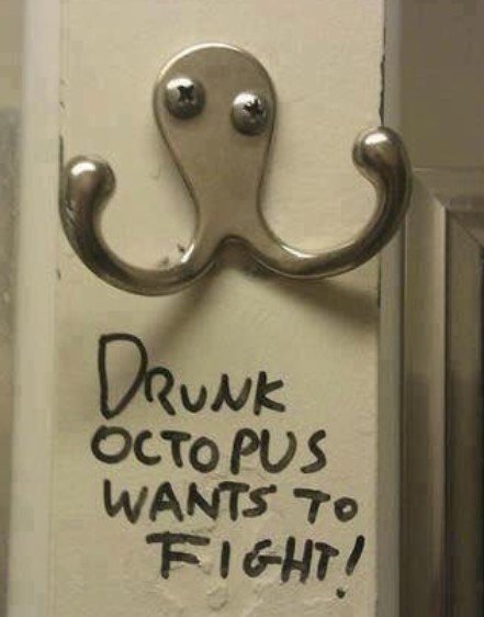 DrunkOctopus.jpg.6d8d421ef3f4571a1a20a03627d488fc.jpg