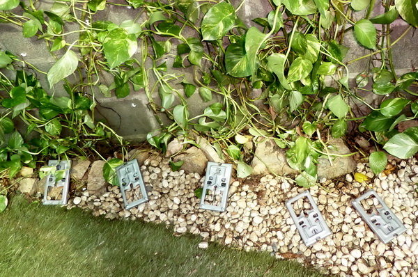 Mousetraps.jpg.8e0e55d16305b4829ffc41e8f2995be9.jpg