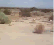 giphy.gif.62587a72265be002cdcc41ee1ebfc6d6.gif
