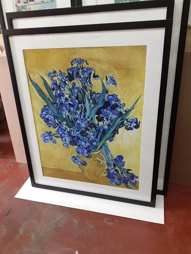 irises.jpg.efdaee1459bfdee760caf5d15494125b.jpg