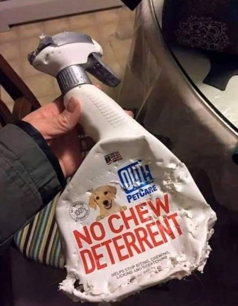 1263532245_nochew.jpg.be2ee5b32eab91be179f496edbfeaece.jpg
