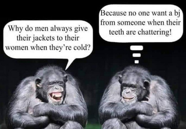 1363102410_Women_ColdCoats.jpg.cfb6f9df8ecb6cb029ca4ab7f71b217a.jpg