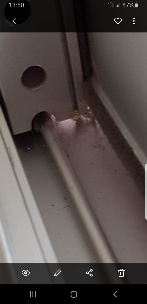 1575375380_BalconyDoor4.thumb.jpg.8bb0c08d445958de99431836415b9fb9.jpg