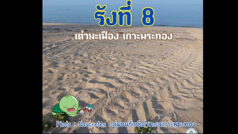 1579864084_1-org.jpg