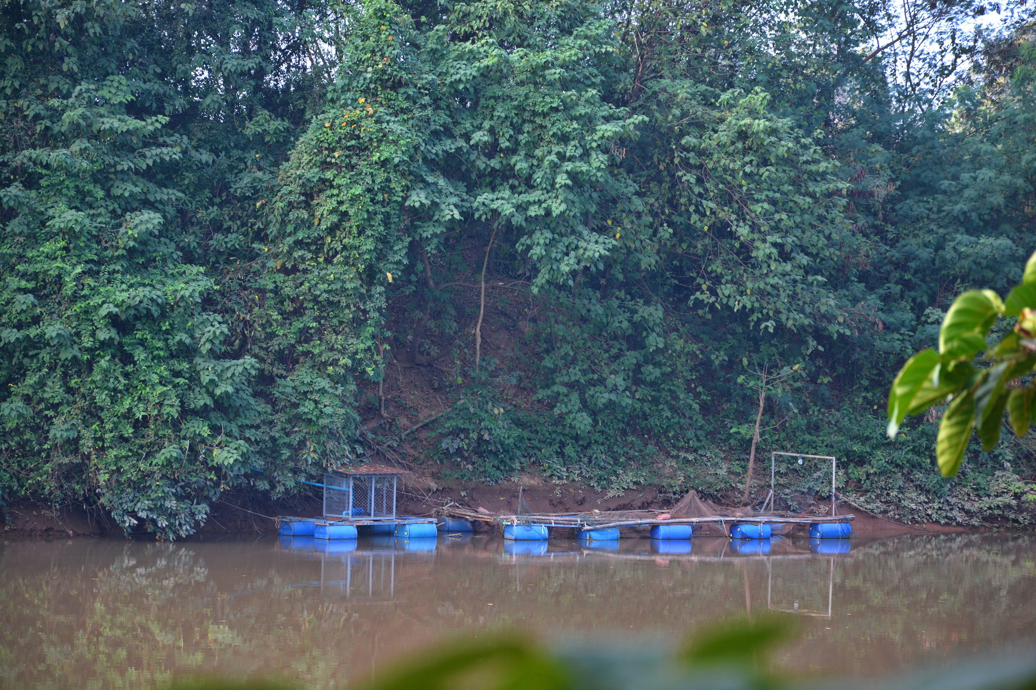 river rice farm pump.JPG