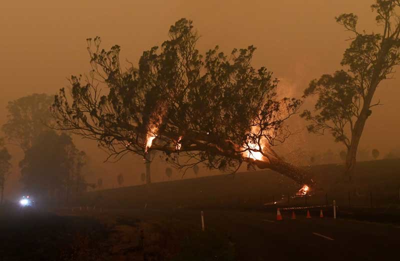 2020-01-14T014459Z_1_LYNXMPEG0D01R_RTROPTP_4_AUSTRALIA-BUSHFIRES-SPORT.JPG