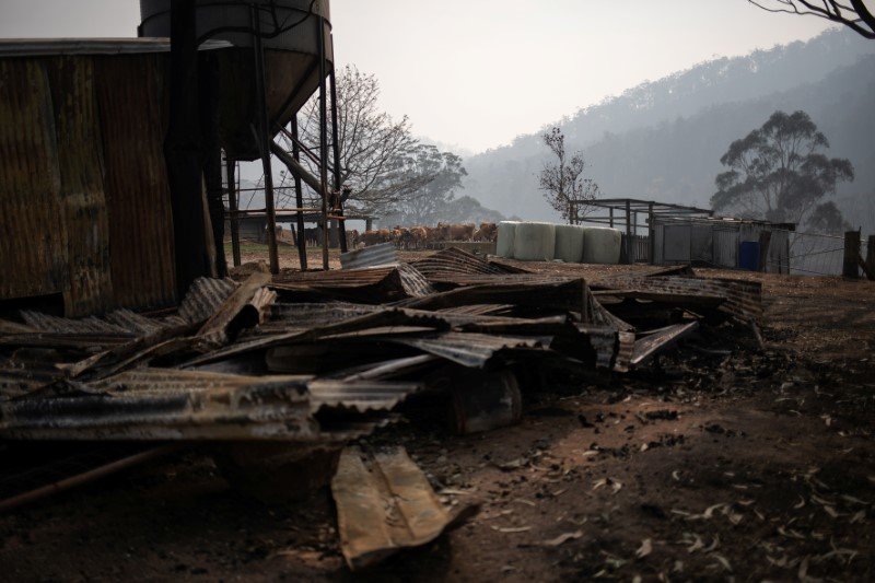 2020-01-16T003752Z_1_LYNXMPEG0F00X_RTROPTP_3_AUSTRALIA-BUSHFIRES-FARMERS.JPG